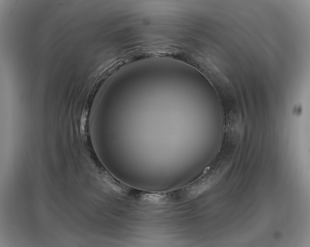 X0000097910139200803141427