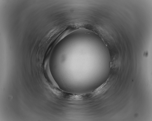 X0000097910140200803141427