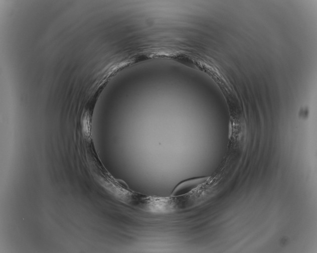 X0000097910143200803141427