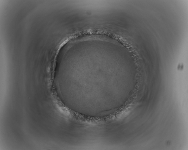 X0000097910144200803141427