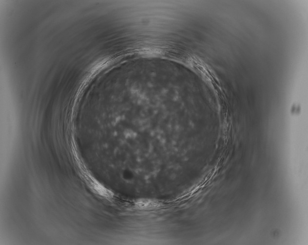 X0000097910145200803141426