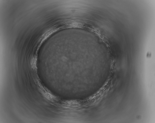 X0000097910146200803141426