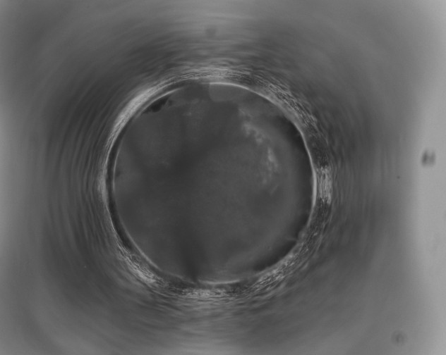 X0000097910147200803141426