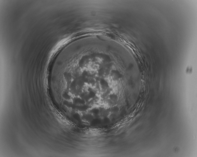 X0000097910149200803141426