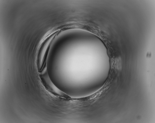 X0000097910150200803141426