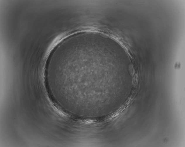 X0000097910151200803141426