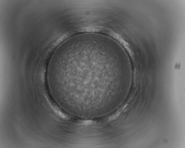 X0000097910153200803141426