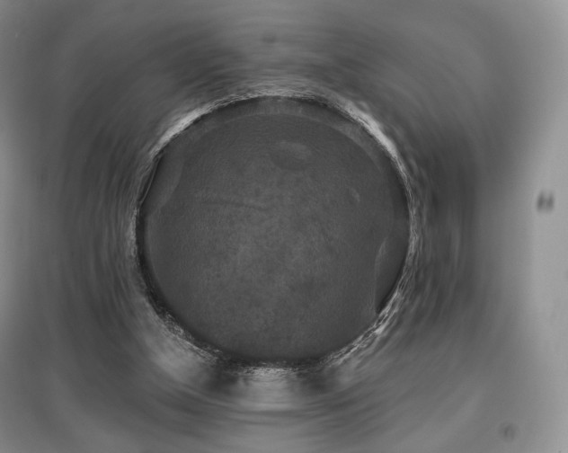 X0000097910154200803141426