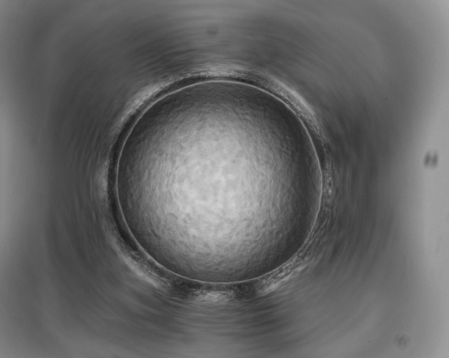 X0000097910155200803141426