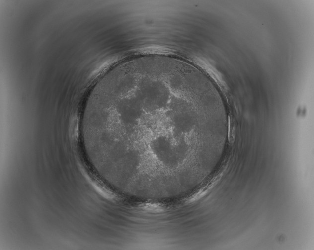 X0000097910157200803141426