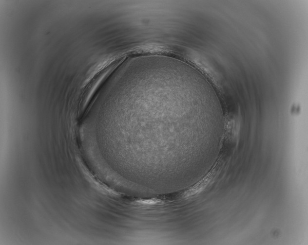 X0000097910158200803141426