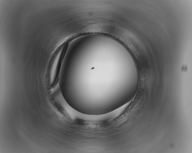 X0000097910160200803141426