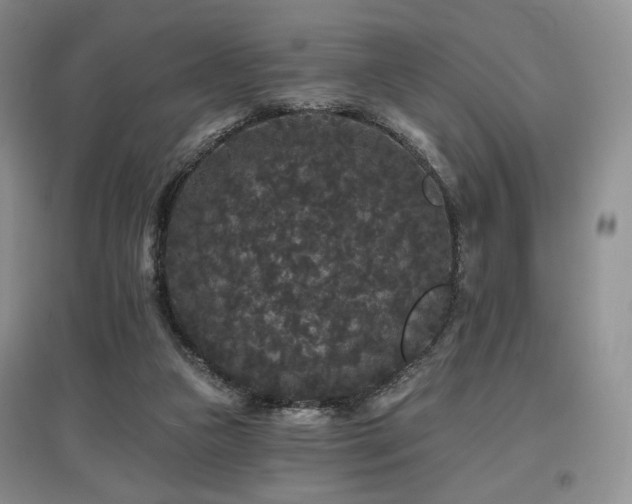 X0000097910161200803141426