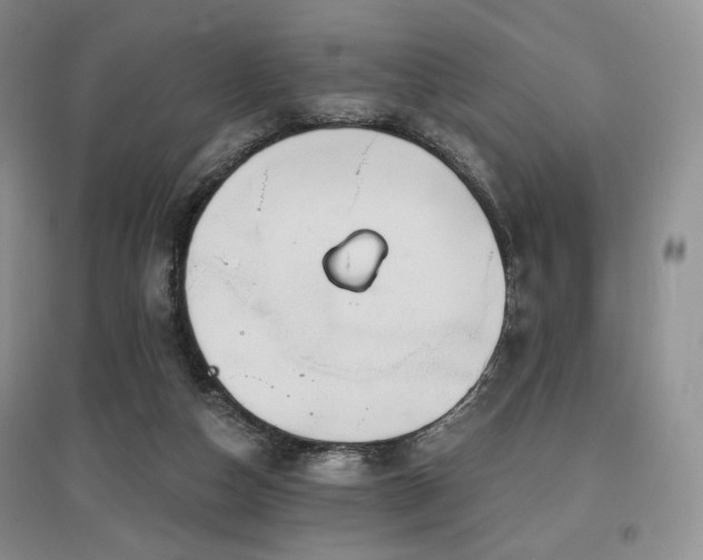 X0000097910162200803141426