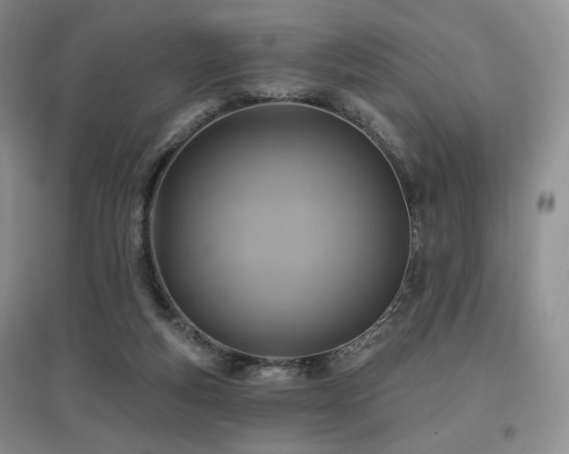 X0000097910163200803141426