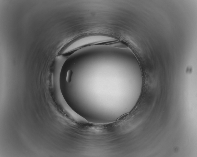 X0000097910164200803141426