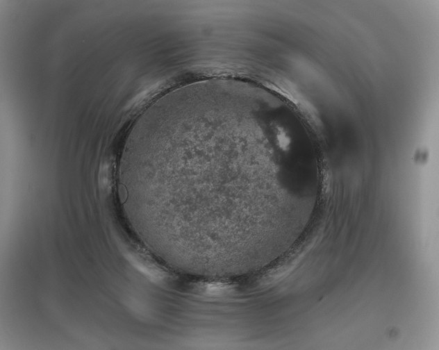 X0000097910165200803141426