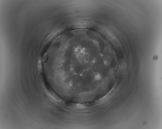 X0000097910166200803141426