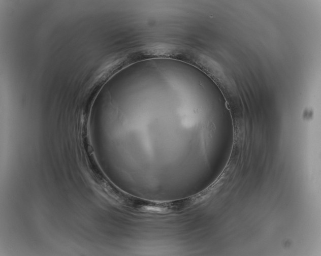 X0000097910167200803141426