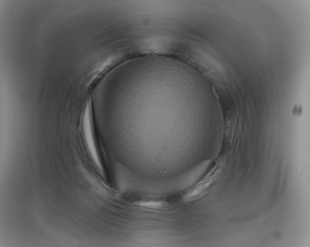 X0000097910168200803141426