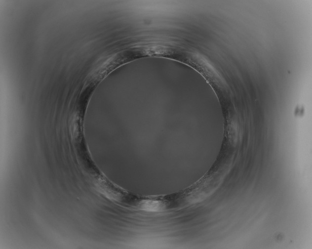 X0000097910169200803141426