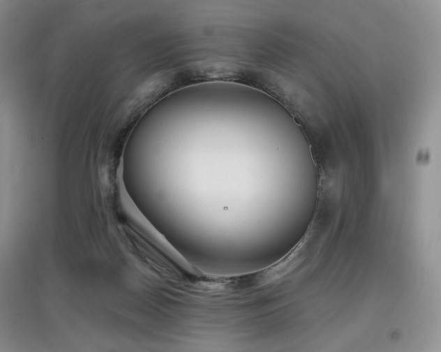 X0000097910170200803141426