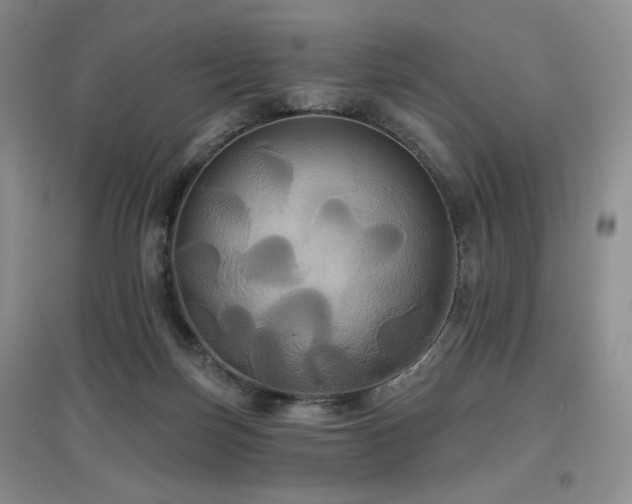 X0000097910171200803141426