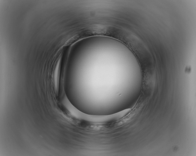 X0000097910172200803141426