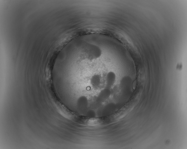 X0000097910173200803141426