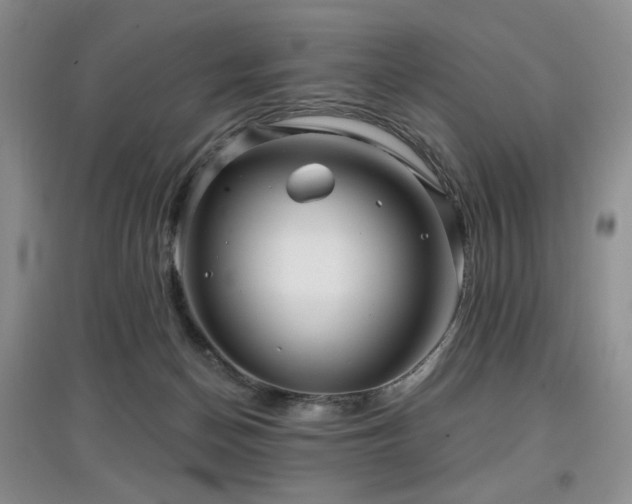 X0000097910174200803141426