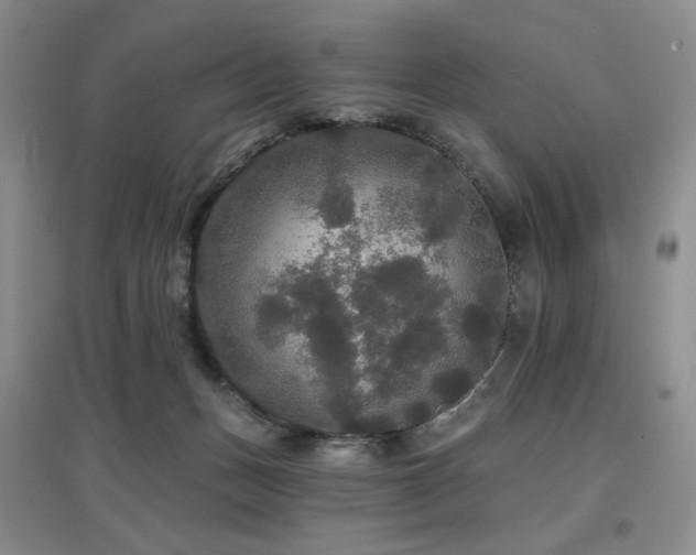 X0000097910175200803141426