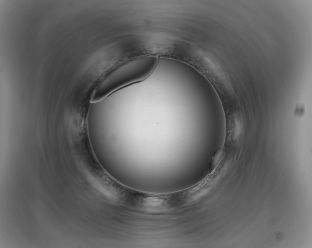 X0000097910176200803141426