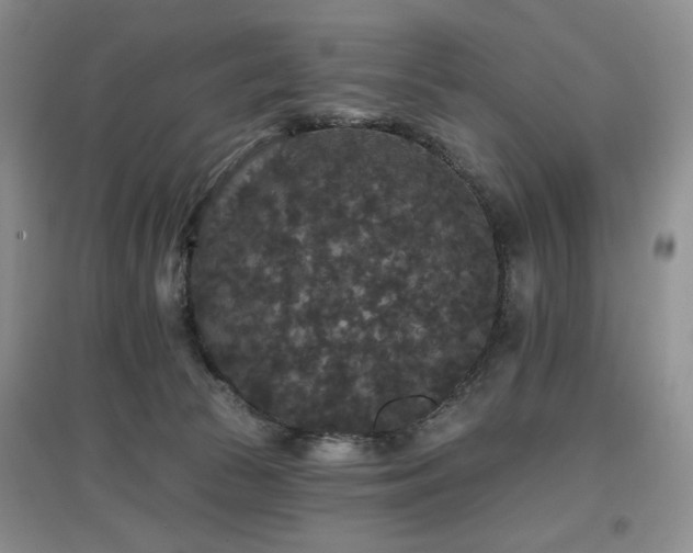 X0000097910177200803141426