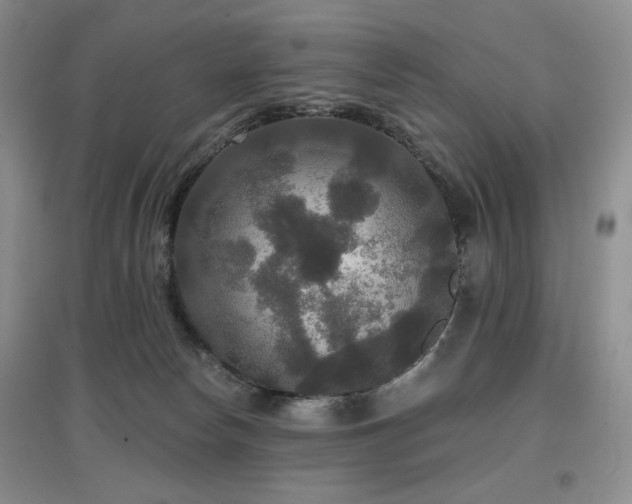 X0000097910178200803141427