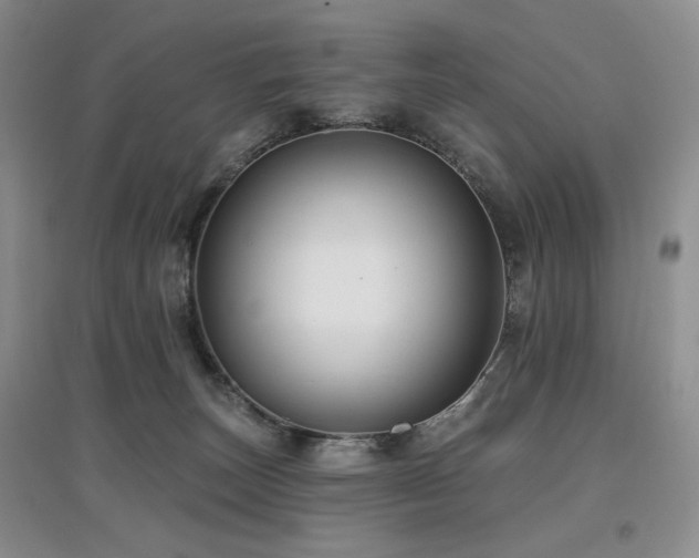 X0000097910179200803141427