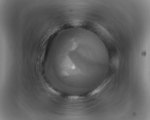 X0000097910180200803141427