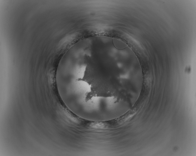 X0000097910181200803141427