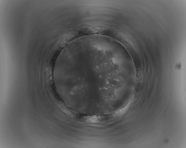 X0000097910182200803141427