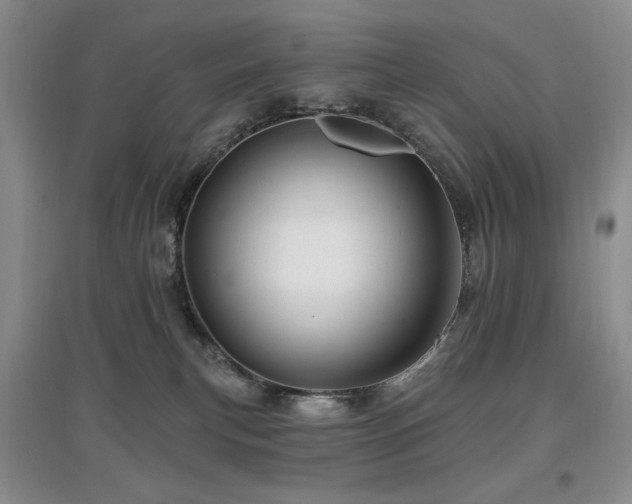 X0000097910183200803141427