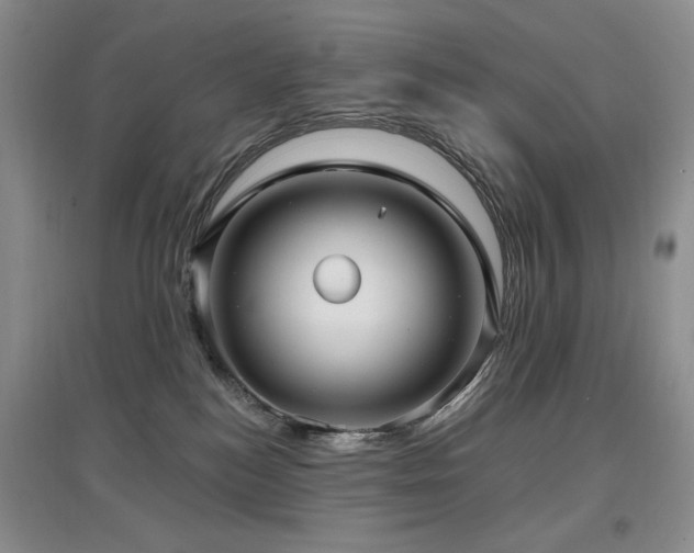 X0000097910184200803141427