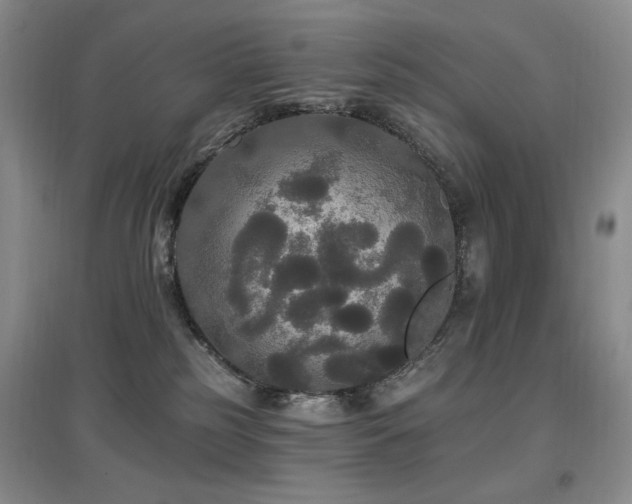 X0000097910185200803141427