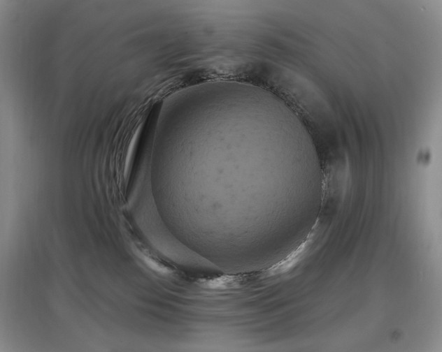 X0000097910186200803141427