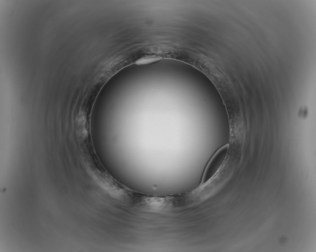 X0000097910187200803141427