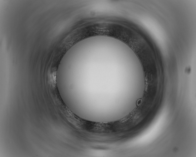 X0000097910190200803141427