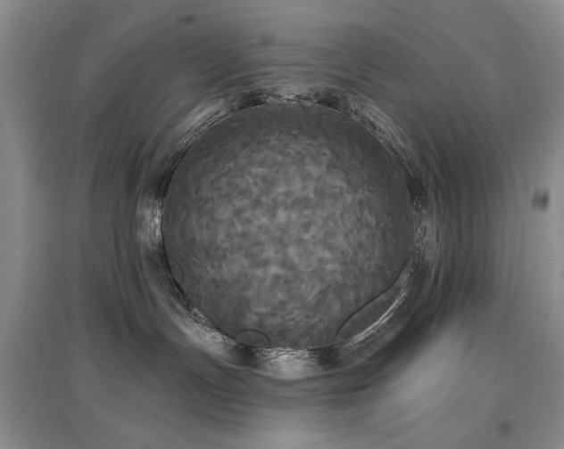 X0000097910191200803141427