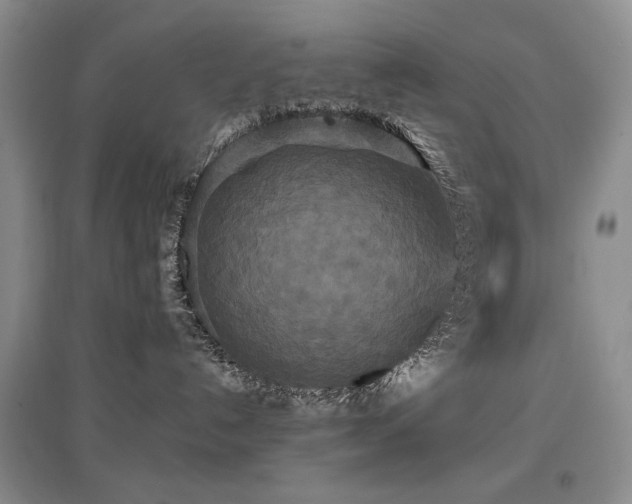 X0000097910192200803141427