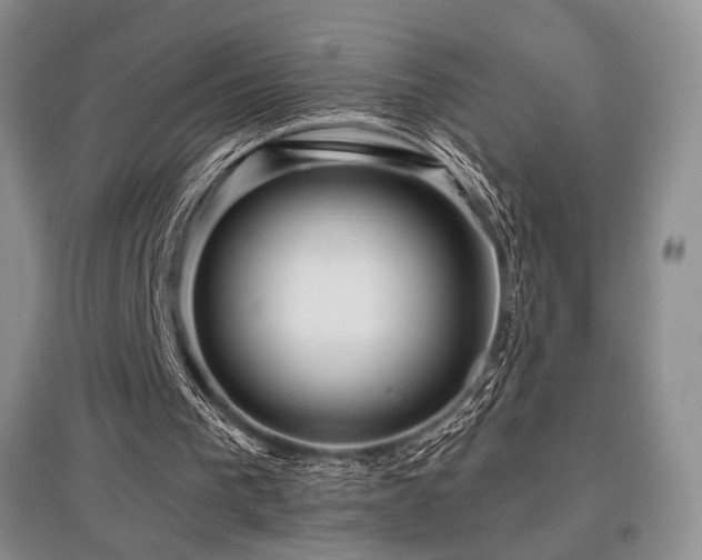 X0000097910193200803141426