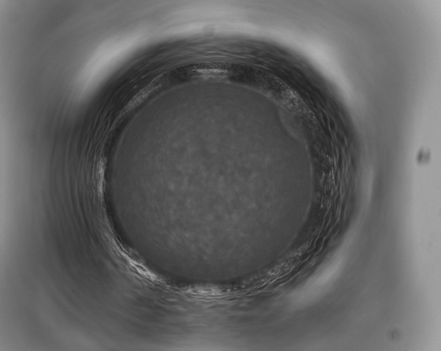 X0000097910194200803141426