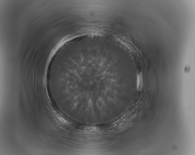 X0000097910195200803141426