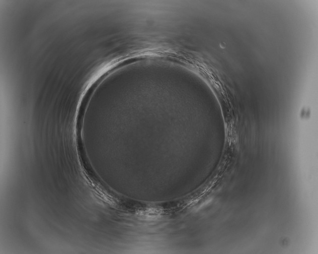 X0000097910196200803141426